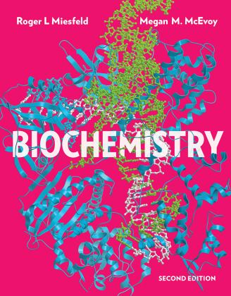 Biochemistry 2nd 9780393533507 Front Cover