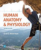 Human Anatomy and Physiology 2nd 9780134553511 Front Cover