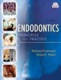 Endodontics Principles and Practice 4th 9781416038511 Front Cover