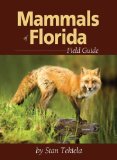 Mammals of Florida Field Guide  cover art