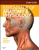 Study Guide for Essentials of Anatomy and Physiology  cover art