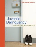 Juvenile Delinquency Bridging Theory to Practice cover art