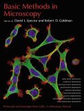 Basic Methods in Microscopy Protocols and Concepts from Cells: A Laboratory Manual 2005 9780879697518 Front Cover