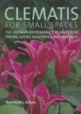 Clematis for Small Spaces 150 High-Performance Plants for Patios, Decks, Balconies and Borders  9780881928518 Front Cover