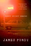 Cabot Wright Begins A Novel 2013 9780871403520 Front Cover