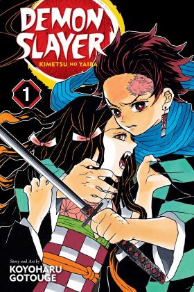 Demon Slayer: Kimetsu No Yaiba, Vol. 1  9781974700523 Front Cover