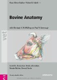 Bovine Anatomy 2nd 9783899930528 Front Cover