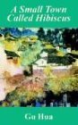 Small Town Called Hibiscus 1st 9781410103529 Front Cover