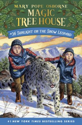 Sunlight on the Snow Leopard  9780593177532 Front Cover