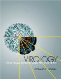 Virology Molecular Biology and Pathogenesis cover art