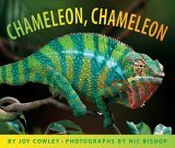 Chameleon Chameleon  cover art