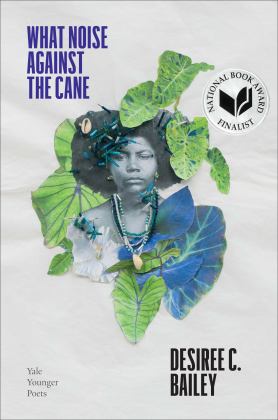 What Noise Against the Cane  9780300256536 Front Cover