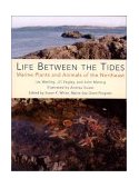 Life Between the Tides Marine Plants and Animals of the Northeast  9780884482536 Front Cover