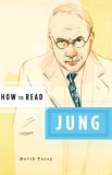 How to Read Jung 2007 9780393329537 Front Cover