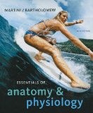 Essentials of Anatomy and Physiology  cover art