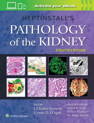 Heptinstall's Pathology of the Kidney 8th 9781975161538 Front Cover