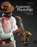 Laboratory Manual by Wise for Saladin's Anatomy and Physiology 10th 9781266042539 Front Cover