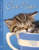 Cat Naps 2009 9781416283539 Front Cover
