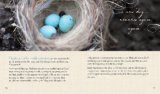 Selections from One Thousand Gifts Finding Joy in What Really Matters  9780310313540 Front Cover