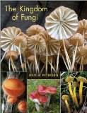 Kingdom of Fungi 
