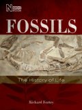 Fossils The History of Life cover art
