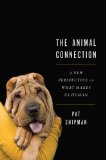 Animal Connection A New Perspective on What Makes Us Human cover art