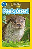 Peek, Otter! Level 1  9780008266547 Front Cover