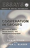 Cooperation in Groups Procedural Justice, Social Identity, and Behavioral Engagement  9780415763547 Front Cover