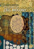 Essential Cell Biology 4th 9780815344551 Front Cover
