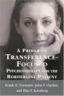 Primer of Transference-Focused Psychotherapy for the Borderline Patient 
