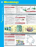 Microbiology Sparkcharts: 2014 9781411470552 Front Cover