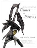 In the Company of Crows and Ravens  9780300122558 Front Cover