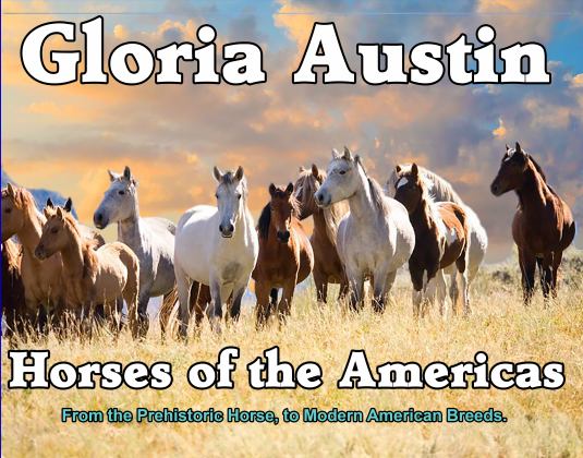 Horses in the Americas 1st 9781732080560 Front Cover