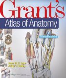 Grant's Atlas of Anatomy  cover art