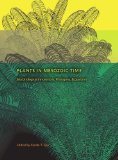 Plants in Mesozoic Time Morphological Innovations, Phylogeny, Ecosystems 2010 9780253354563 Front Cover