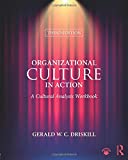 Organizational Culture in Action A Cultural Analysis Workbook 3rd 9781138384569 Front Cover
