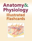 Anatomy and Physiology Illustrated Flashcards 3rd 2008 9781428376571 Front Cover