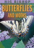Butterflies and Moths  cover art