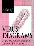 Atlas of Virus Diagrams  9780849324574 Front Cover