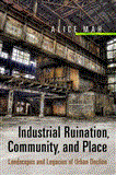 Industrial Ruination, Community and Place Landscapes and Legacies of Urban Decline cover art