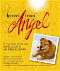 Letters from Angel A True Story in Her Own Words 2012 9781616084578 Front Cover
