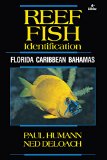 Reef Fish Identification 4th Edition Florida, Caribbean, Bahamas