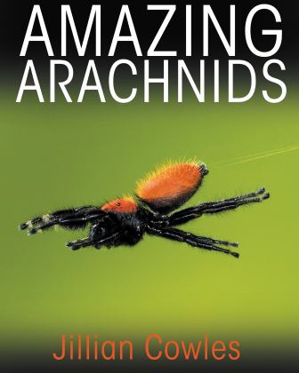 Amazing Arachnids  9780691176581 Front Cover