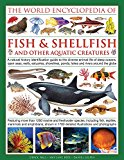 World Encyclopedia of Fish &amp; Shellfish and Other Aquatic Creatures A Natural History Identification Guide to the Diverse Animal Life of Deep Oceans, Open Seas, Reefs, Estuaries, Shorelines, Ponds, Lakes and Rivers Around the Globe  9780754833581 Front Cover