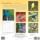 Songbirds of North America 2008 9781416280583 Front Cover