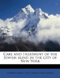 Care and Treatment of the Jewish Blind in the City of New York 2010 9781176572584 Front Cover