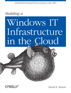 Building a Windows IT Infrastructure in the Cloud Distributed Hosted Environments with AWS 2012 9781449333584 Front Cover