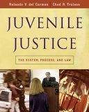 Juvenile Justice The System, Process and Law cover art