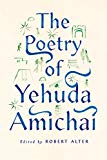 Poetry of Yehuda Amichai  9780374536589 Front Cover
