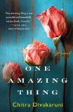 One Amazing Thing  cover art